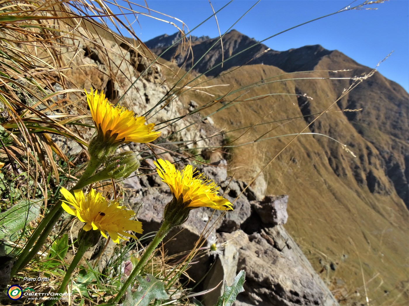 23 Baciati dal sole d'ottobre .JPG